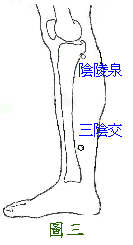 陰陵泉穴、三陰交穴